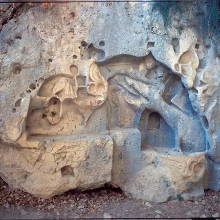 فيلة Nera بول