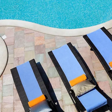 Nera فيلة بول